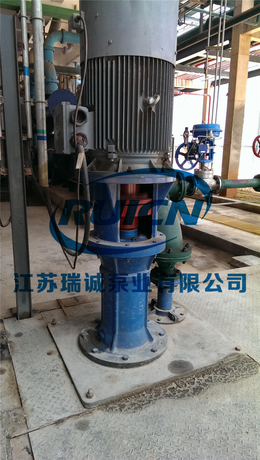 1594424236197977.jpg IMAG0570.jpg